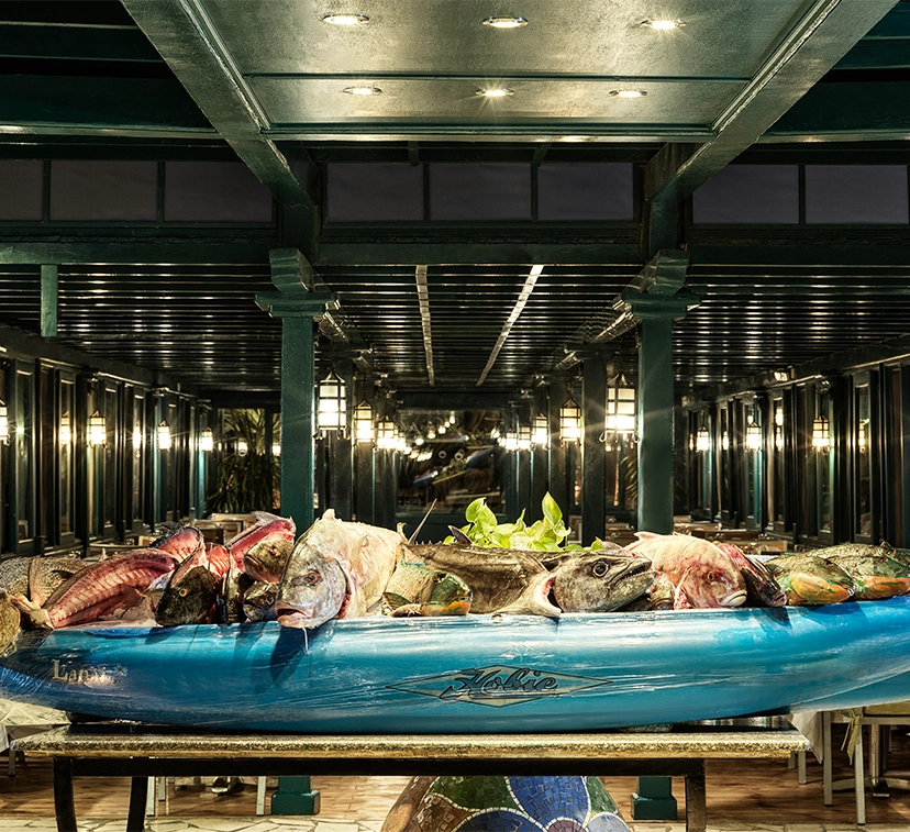 Fresh fish at Club Paradisio