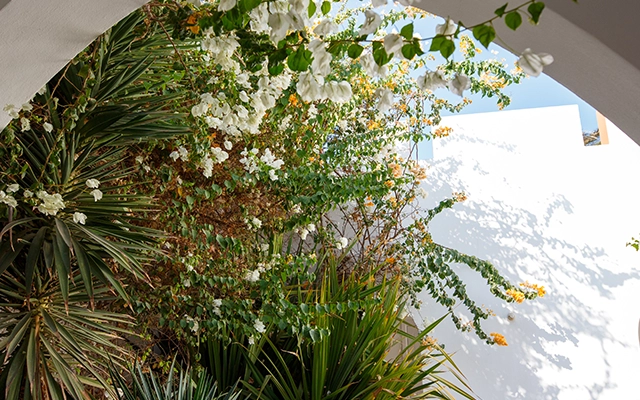 Landscaping Image
