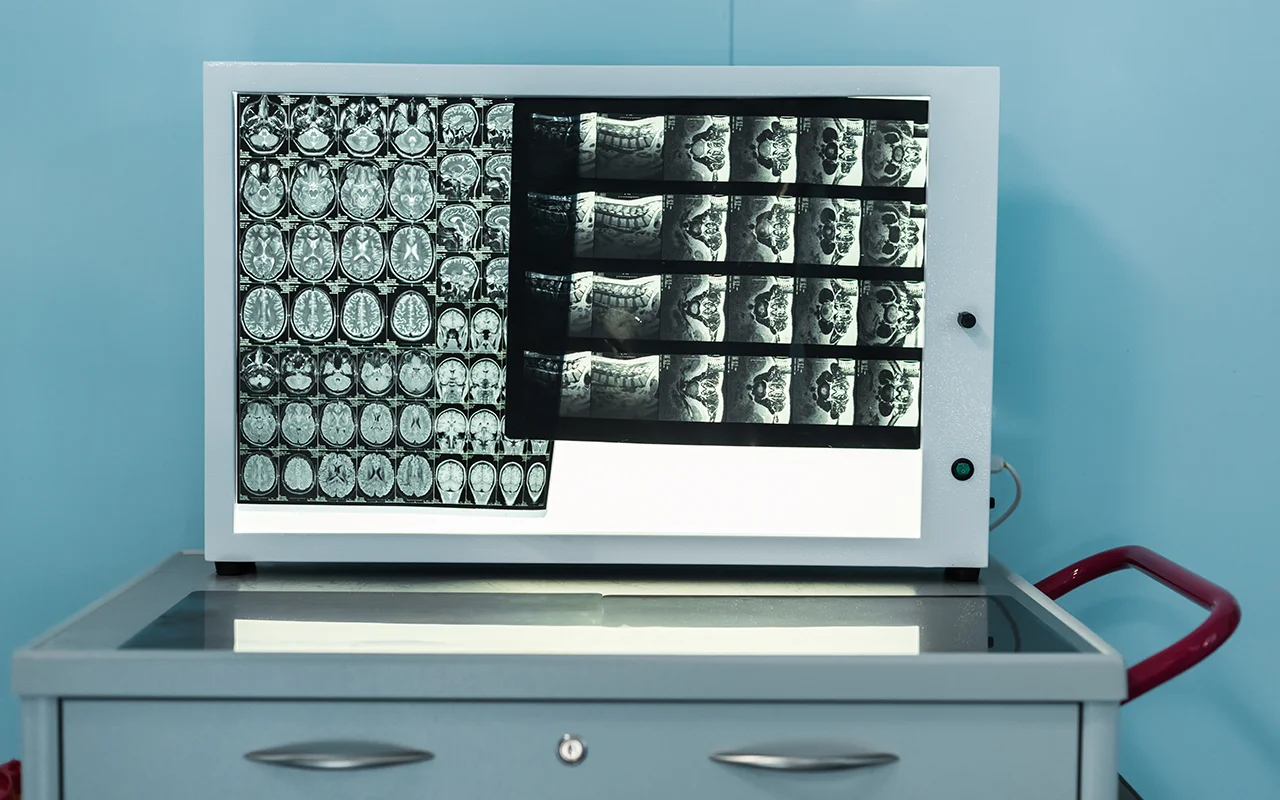 Neuroscience Image