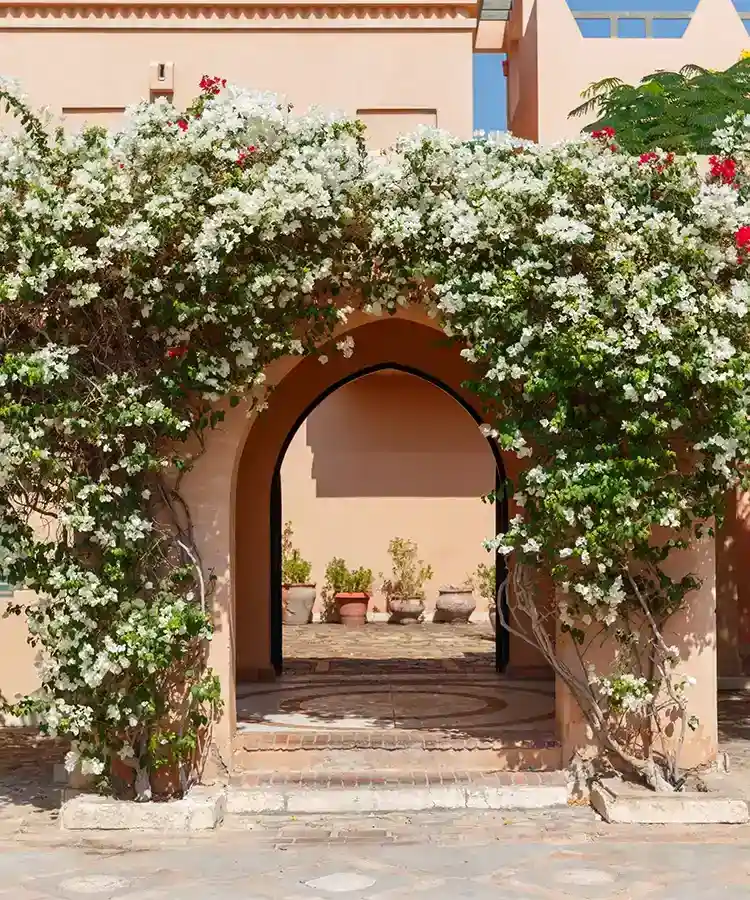 Nachhaltiges El Gouna