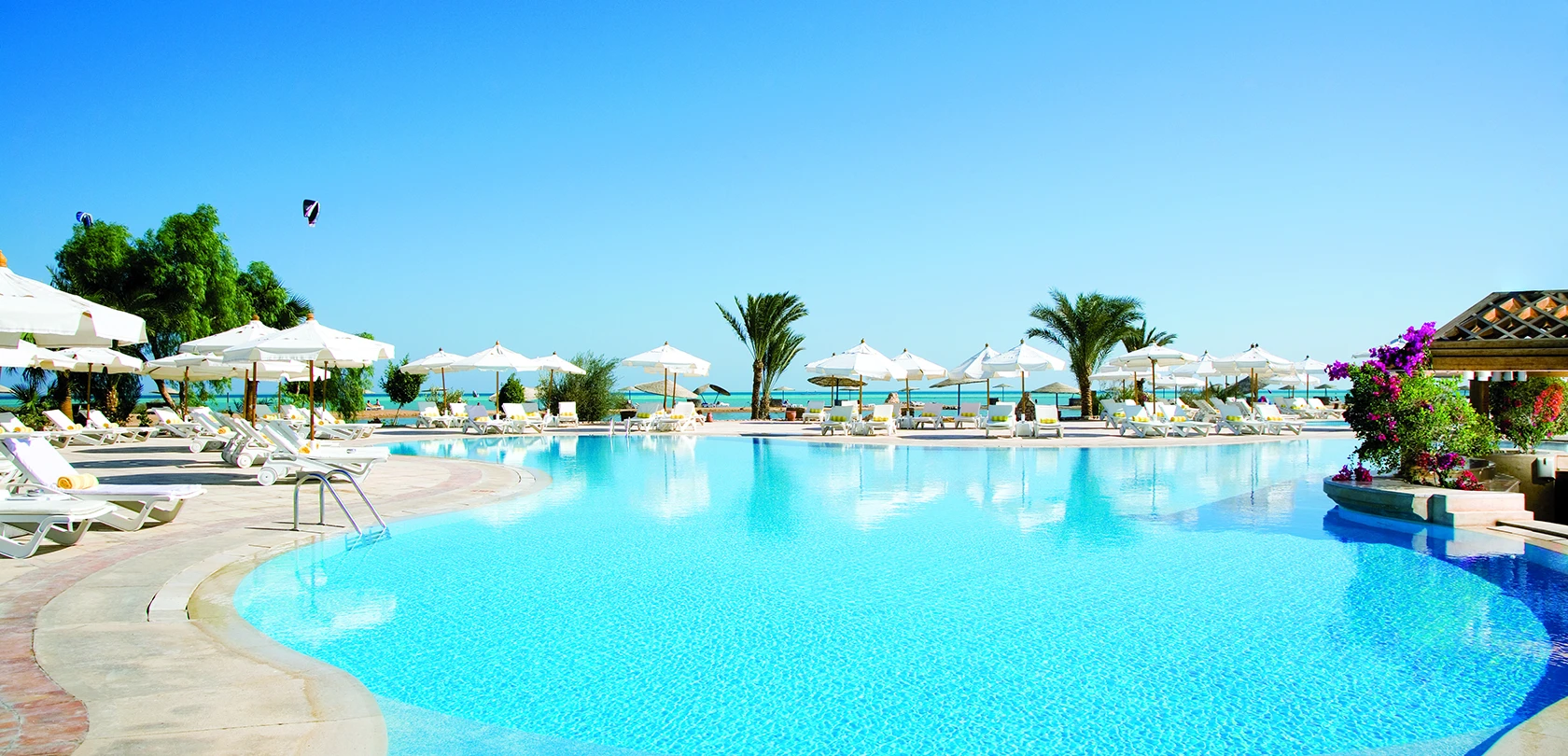 A serene oasis pool surrounded by lush greenery and lounge chairs.