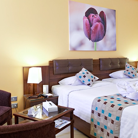 tandard room at Rihana Resort featuring a king-size bed with stylish linens and a flower painting on the wall. The room is elegantly decorated, creating a comfortable and inviting atmosphere.